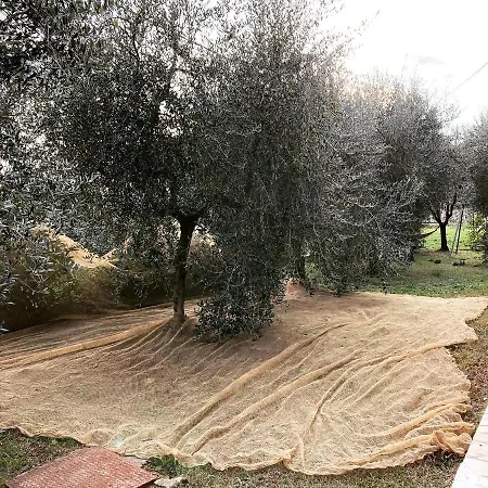 Il Quartierino *